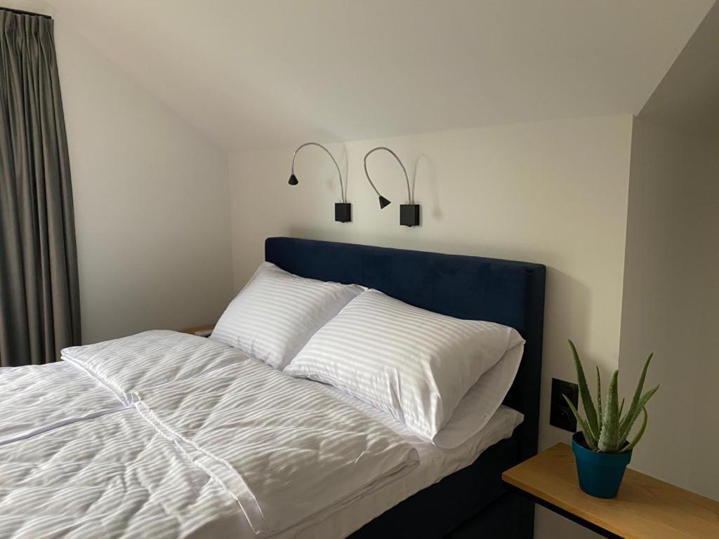Manca Loft & Spa Mechelinki Ngoại thất bức ảnh